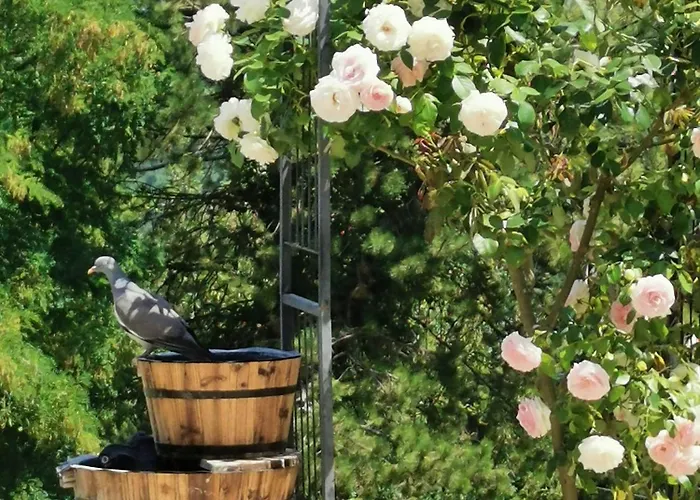 Vallee Verte Gasthof 4*