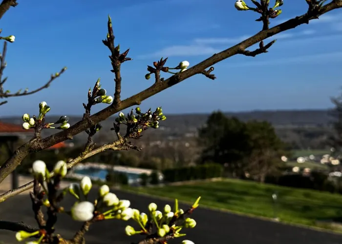 Vallee Verte Razac-sur-lʼIsle